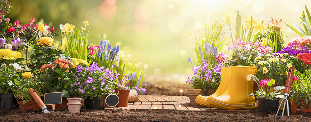Spring is coming, we promise! 